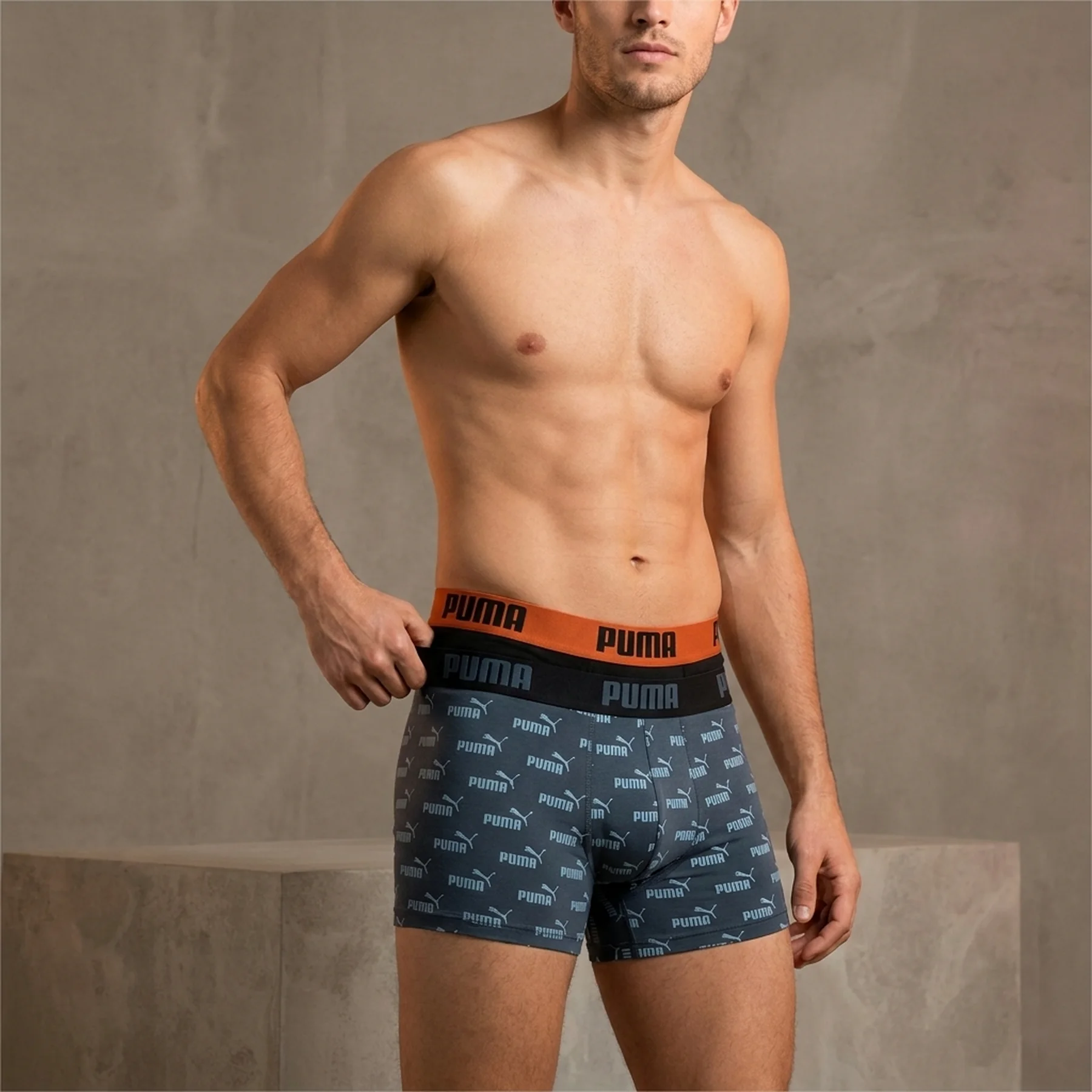 Труси-боксери Puma BIG LOGO AOP BOXER 2 пари