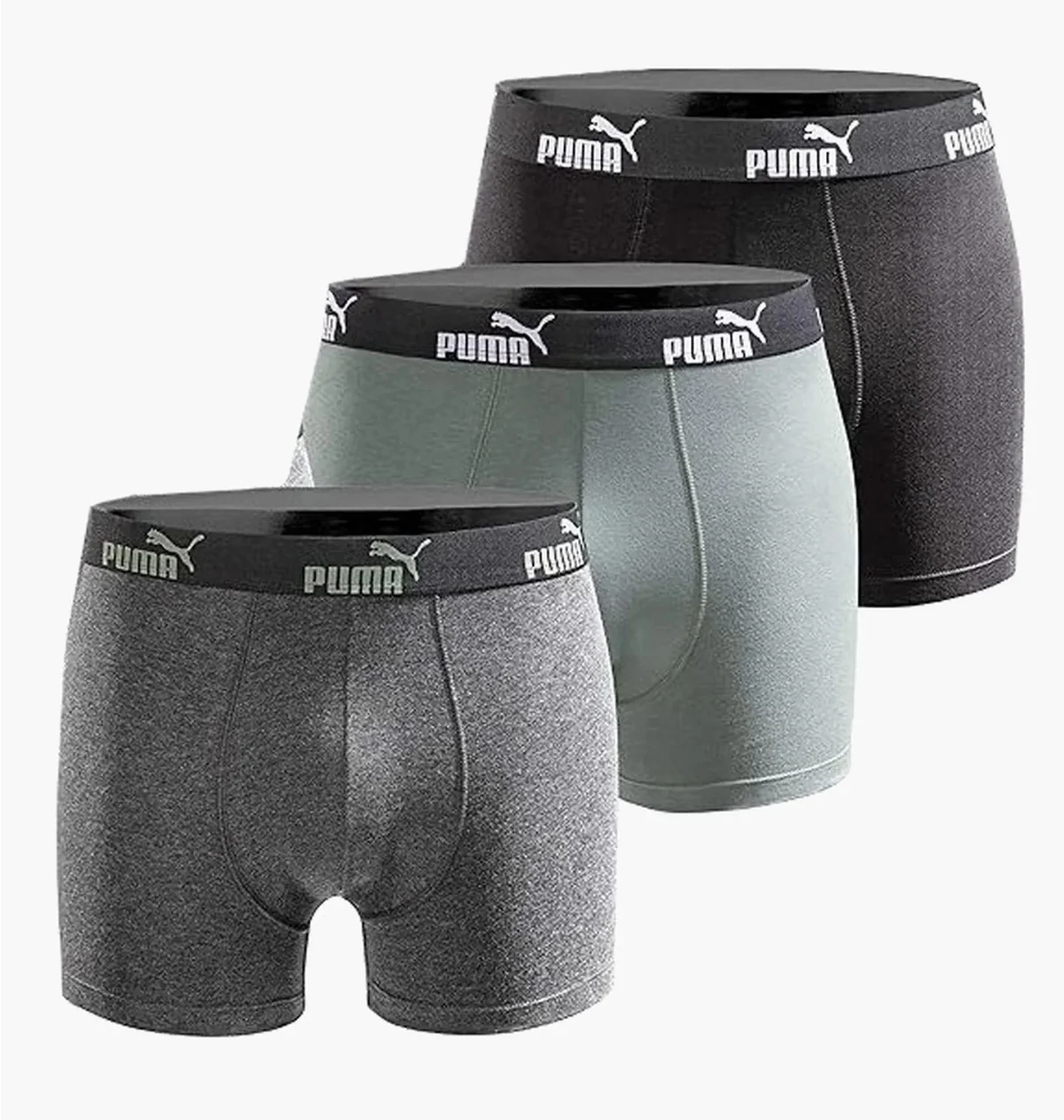 Труси-боксерки чоловічі Puma Everyday Coton Stretch (3 ) Multi (100003547-001)