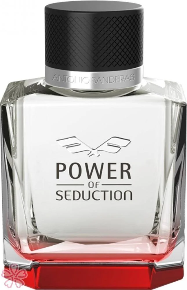 Туалетная вода для мужчин Antonio Banderas Power of Seduction 100 мл