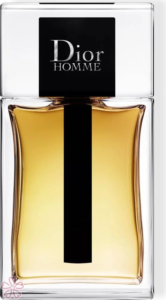 Туалетная вода для мужчин Dior Dior Homme 50 мл