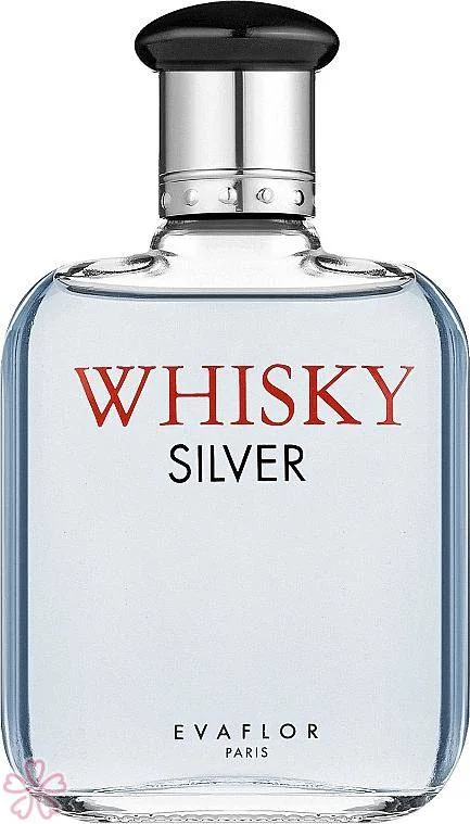 Туалетная вода для мужчин EVAFLOR Whisky Silver 100 мл