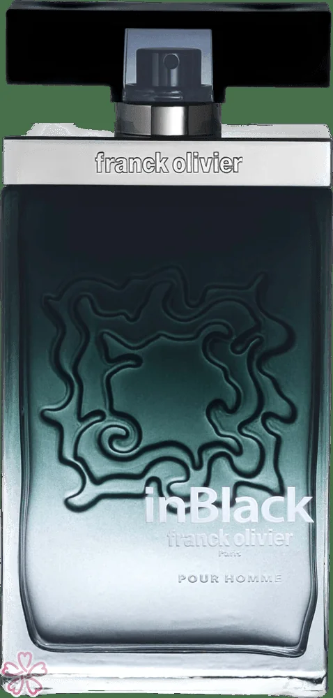 Туалетная вода для мужчин Franck Olivier In Black 75 мл