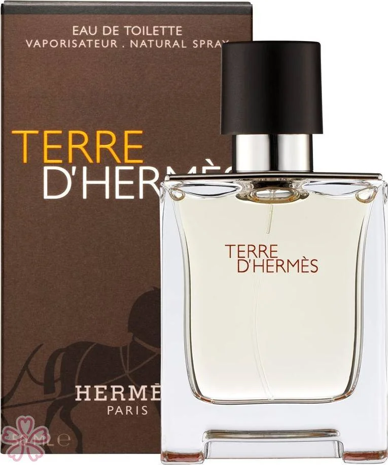 Туалетная вода для мужчин Hermes Terre d'Hermes 50 мл