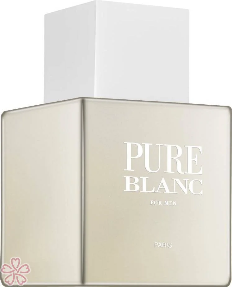 Туалетная вода для мужчин Karen Low Pure Blanc 100 мл
