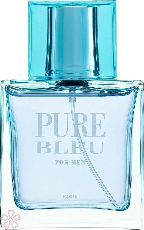 Туалетная вода для мужчин Karen Low Pure Bleu 100 мл