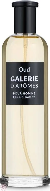Туалетная вода для мужчин Rene de Grace Galerie D'Aromes Oud 100 мл