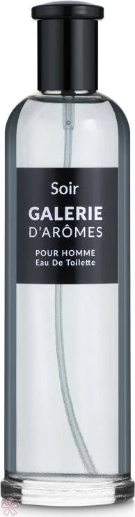 Туалетная вода для мужчин Rene de Grace Galerie D'Aromes Soir 100 мл