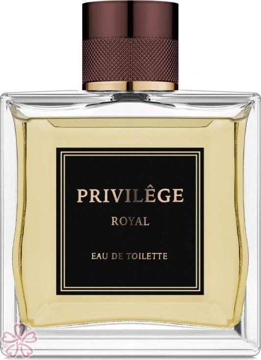 Туалетная вода для мужчин Rene de Grace Privilege Royal 100 мл