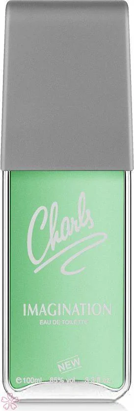 Туалетная вода для мужчин Sterling Parfums Charls Imagination 100 мл
