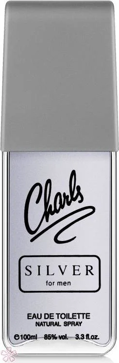 Туалетная вода для мужчин Sterling Parfums Charls Silver 100 мл