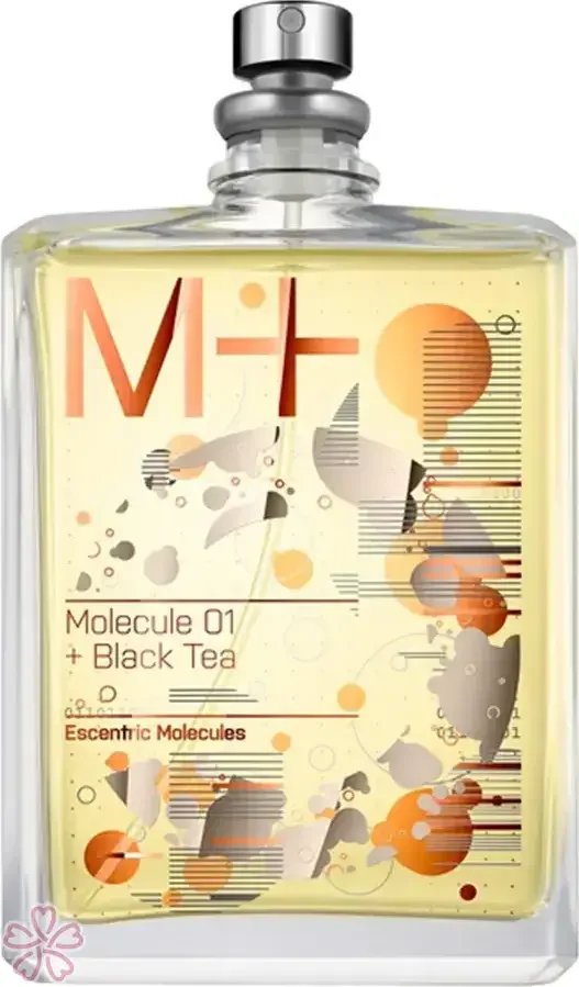 Туалетная вода для женщин Escentric Molecules Molecule 01 + Black Tea 100 мл