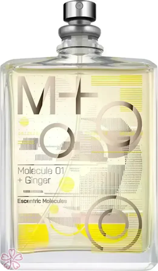 Туалетная вода для женщин Escentric Molecules Molecule M01+Ginger 100 мл