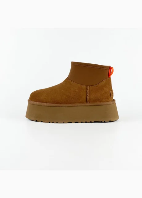 Жіноче взуття UGG UGG Classic Mini Dipper Chestnut